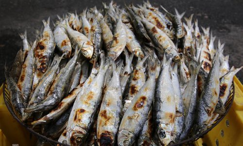 Nghề nướng cá trích