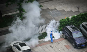 Bộ Y tế yêu cầu giám sát dịch bệnh Chikungunya ngay tại cửa khẩu
