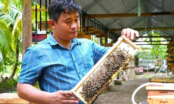 Kiếm tiền tỷ từ mô hình nuôi ong đa tầng