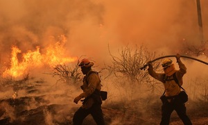 Wildfires rage across western US states