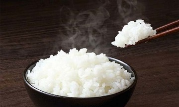 Vì sao ăn ít tinh bột vẫn mỡ máu cao?