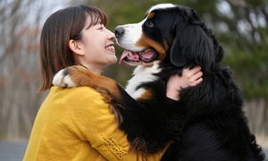 Actions that can lead to rabies infection