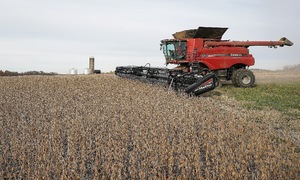 Trump urges China to quadruple US soybean purchases