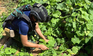 Thai soldier injured by landmine near Cambodian border