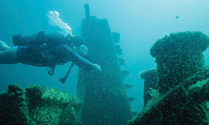 Sunken ships transformed into diving destinations