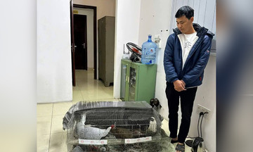 Nhiều luật sư muốn bào chữa miễn phí cho người 'bị phạt tù vì bán gà lôi trắng'