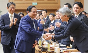 Japanese businesses seek solutions for projects in Vietnam