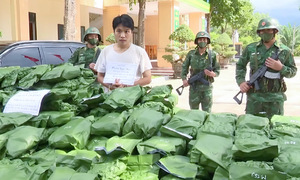 Young man arrested with hundreds of kilograms of cannabis in car and rented room