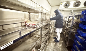 Blood shortages force western Mekong delta hospitals to postpone surgeries