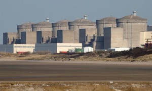 Jellyfish swarm shuts down French nuclear power plant