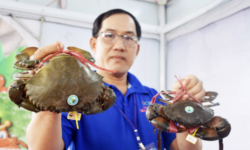 Việt Nam thu hơn 4.400 tỷ đồng từ xuất khẩu cua ghẹ nửa đầu năm