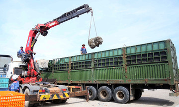 Tài xế, chủ xe bị phạt 333 triệu đồng vì chở quá tải