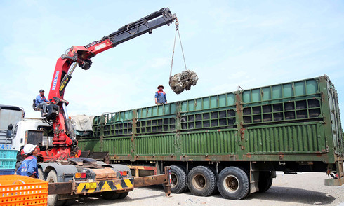 Driver and owner fined 333 million VND for overloading