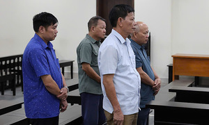 Former commune leaders imprisoned for forging documents and illegally selling 44 hectares of land in Soc Son