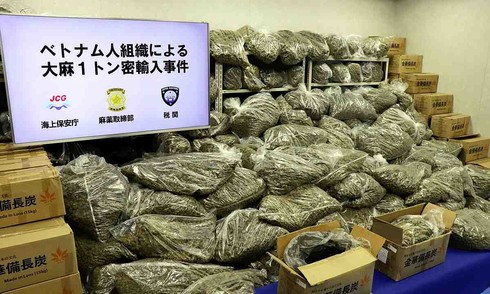 Three Vietnamese nationals arrested in Japan for possessing a ton of cannabis