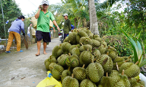 Trung Quốc chi gần 55.000 tỷ đồng mua rau quả Việt