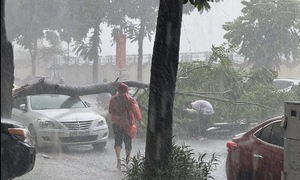 Fallen branch damages car and injures motorcyclist in Hanoi