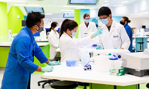 University of Technology Sydney pauses enrollment for over 100 courses