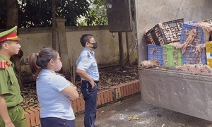 Hanoi authorities seize over 2 tons of foul-smelling beef fat and hides