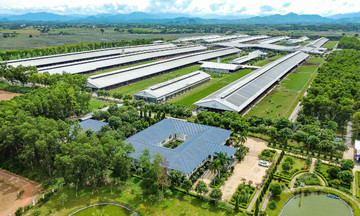 Brand Finance: Vinamilk là thương hiệu sữa tiềm năng nhất thế giới
