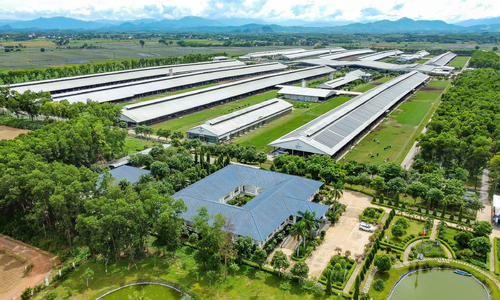 Brand Finance: Vinamilk là thương hiệu sữa tiềm năng nhất thế giới