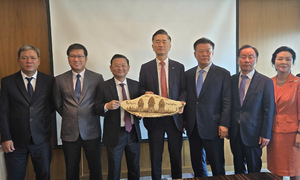 Gia Lai and Busan discuss investment opportunities