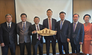 Gia Lai bàn cơ hội đầu tư cùng Busan