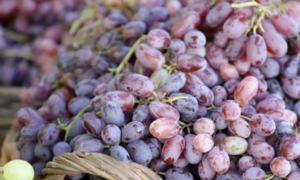 The surprising benefits of the white powder on grapes