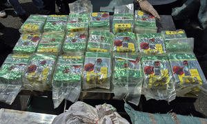 Border patrol seizes over 295 kg of drugs smuggled from Laos to Vietnam