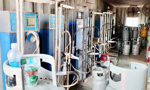 Counterfeit gas operation busted in shipping containers