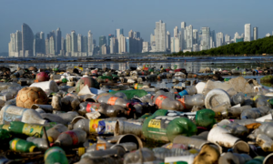 Nearly 200 nations fail to reach agreement on restricting chemicals in plastics