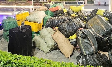 Phát hiện hơn 10 tấn lạp xưởng, nầm lợn đông lạnh nhập lậu