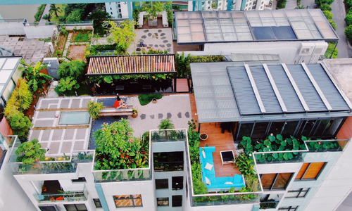 Chi 3 tỷ đồng làm vườn rau, ao cá trên tầng 30