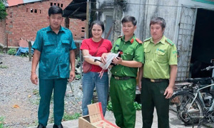 Rare white pheasant found in rubber plantation