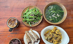 Chicken-based meal plans for weight loss