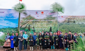 Timo partners with the Ministry of Agriculture and Rural Development to plant 20,000 trees