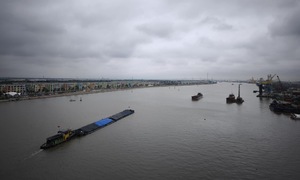 Tropical depression makes landfall in Quang Ninh and Hai Phong