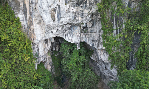 Body of missing tourist found in Cuc Phuong national park