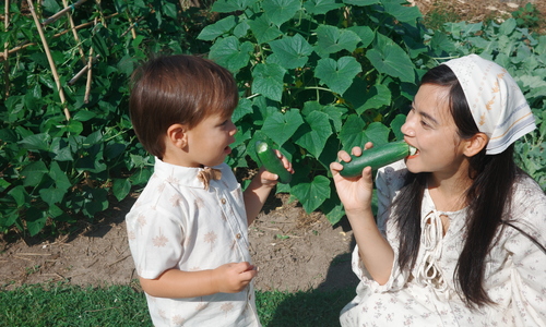 A Vietnamese mother's thriving garden in the US