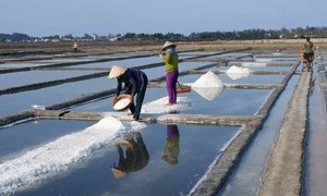 From pennies to premium: How a 9x entrepreneur transformed Sa Huynh salt into a global delicacy