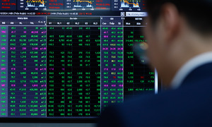 Experts predict VN-Index to reach 1,800 points by year-end