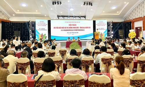 Gia Lai xúc tiến xuất khẩu nông sản sang thị trường Trung Quốc