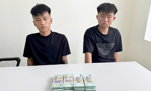 Three Chinese nationals accused of theft in Da Nang