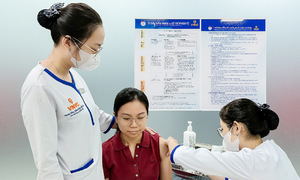 Does the dengue fever vaccine protect against Chikungunya?