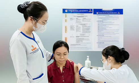 Does the dengue fever vaccine protect against Chikungunya?