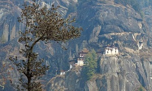Bhutan: a niche destination for Vietnamese travelers