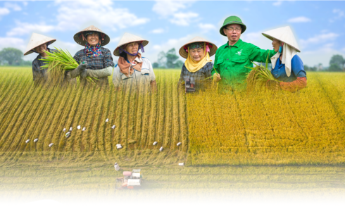 From famine to food superpower