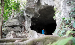 Safety tips for visiting Cuc Phuong national park after tourist's death