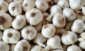Does eating garlic help detoxify the liver?