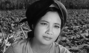 ‘August Star’: A heroic ballad